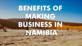 benefits of making business in namibia