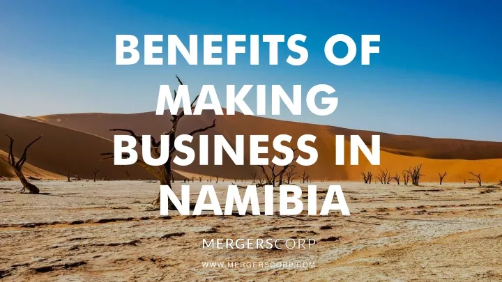 benefits of making business in namibia