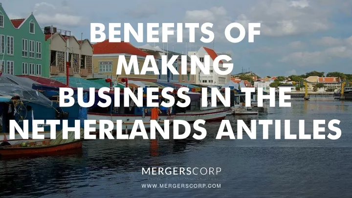 benefits of making business in the netherlands