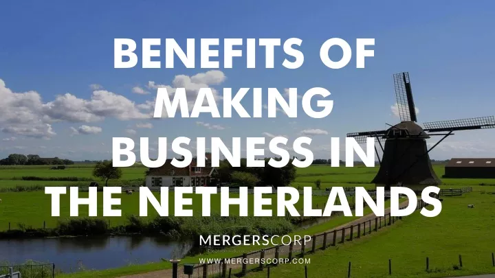benefits of making business in the netherlands