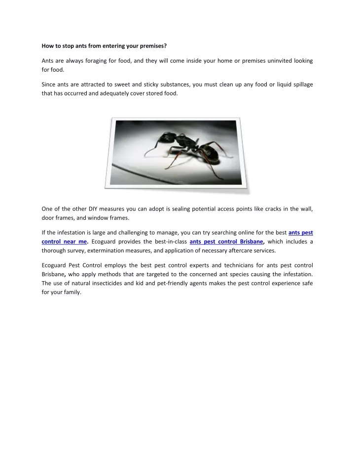 how to stop ants from entering your premises