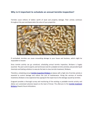Why is it important to schedule an annual termite inspection?