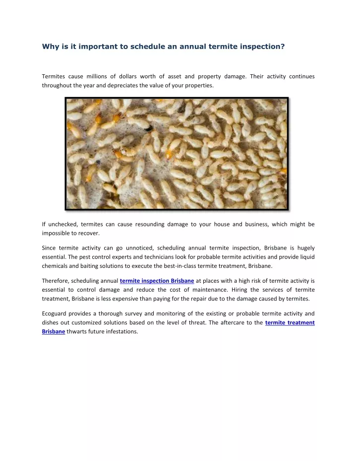 why is it important to schedule an annual termite