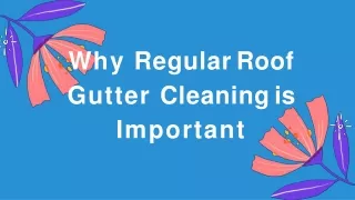 Why Regular Gutter Cleaning is Important