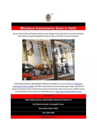 miniature instruments store in delhi music