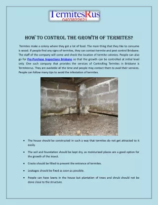 How to Control the Growth of Termites?