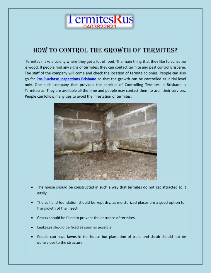 how to control the growth of termites