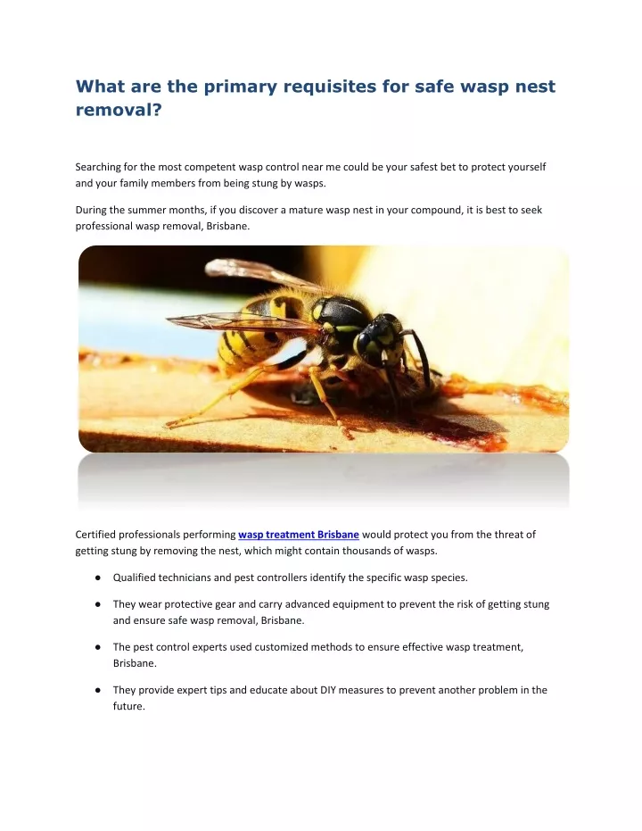 what are the primary requisites for safe wasp