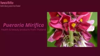 Pueraria Mirifica