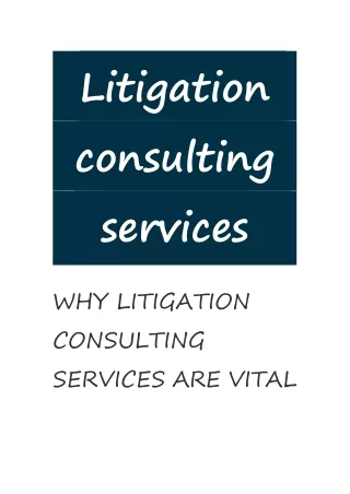 Litigation consulting services