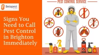 signs you need to call pest control in brighton