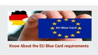 Know about the eu blue card requirements