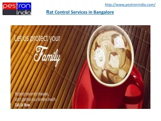Rat Control Services in Bangalore - Pestron India