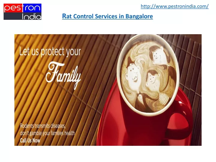 r at control services in bangalore