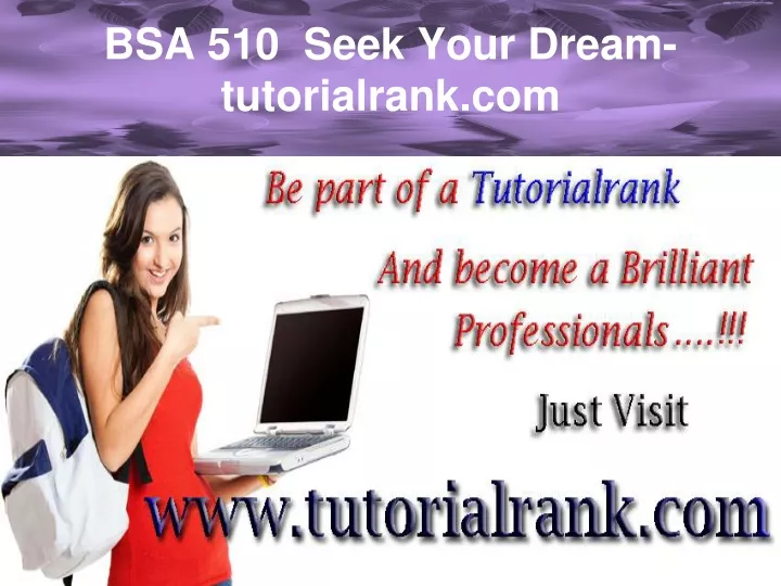 bsa 510 seek your dream tutorialrank com