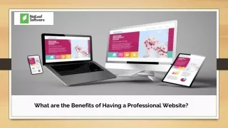 what are the benefits of having a professional