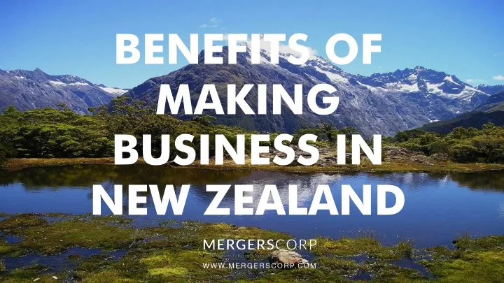 benefits of making business in new zealand