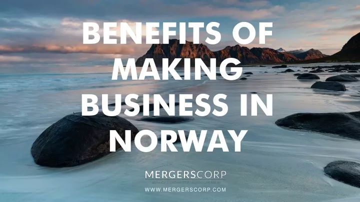 benefits of making business in norway