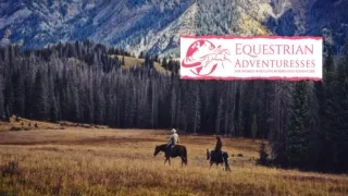 Best Travel Guides for Equestrians