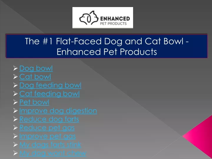 the 1 flat faced dog and cat bowl enhanced