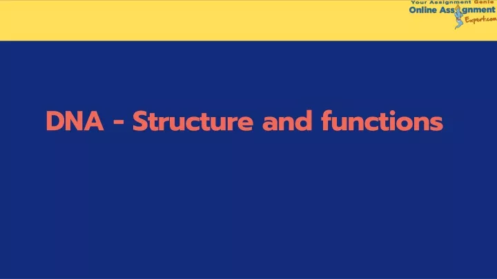 dn a structure and functions