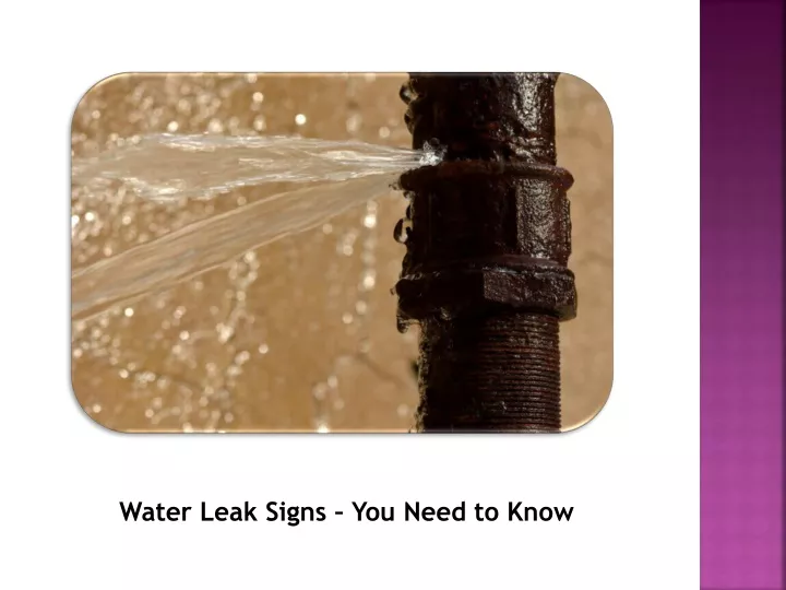 water leak signs you need to know