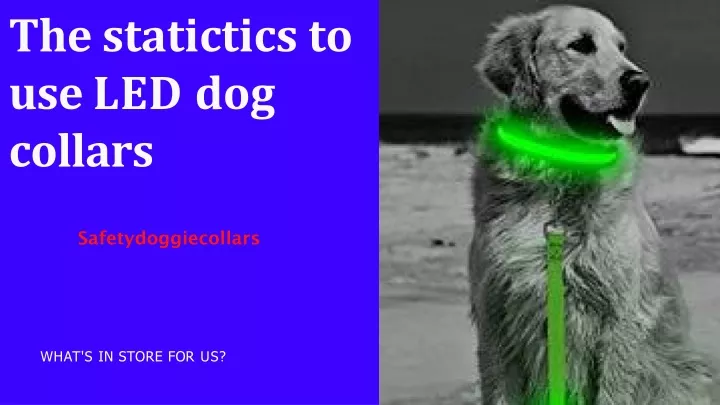 the statictics to use led dog collars