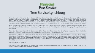 tree service lynchburg