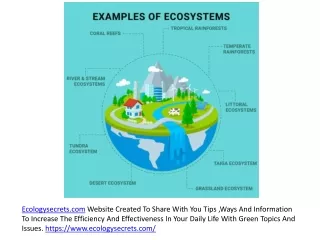 PDF Examples of Ecosystems and News about Ecology