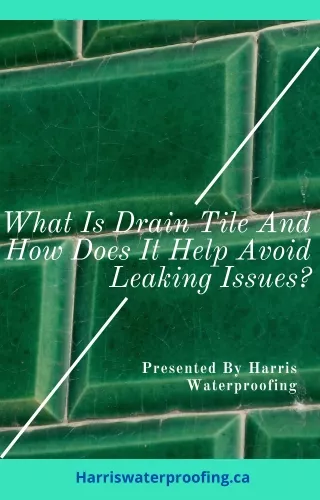 What Is Drain Tile and How Does It Help Avoid Leaking Issues?