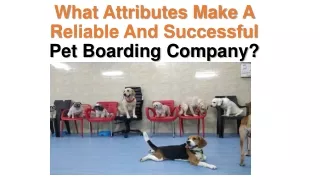 What Attributes Make A Reliable And Successful Pet Boarding Company?