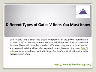 different types of gates v belts you must know