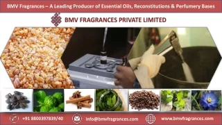 BMV Fragrances – A Leading Producer of Essential Oils, Reconstitutions & Perfumery Bases