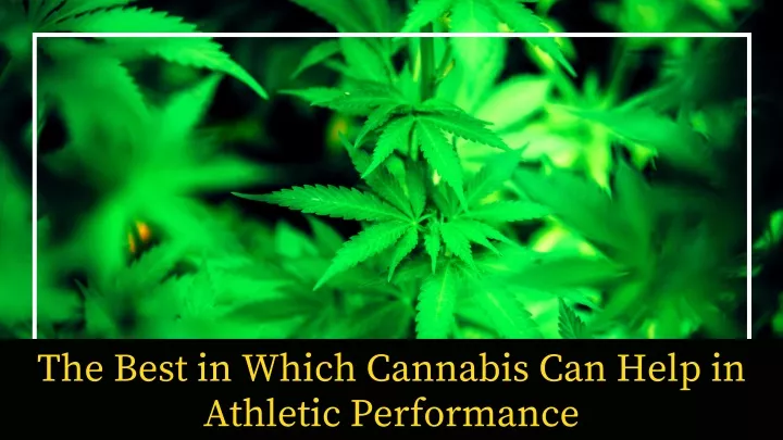 the best in which cannabis can help in athletic