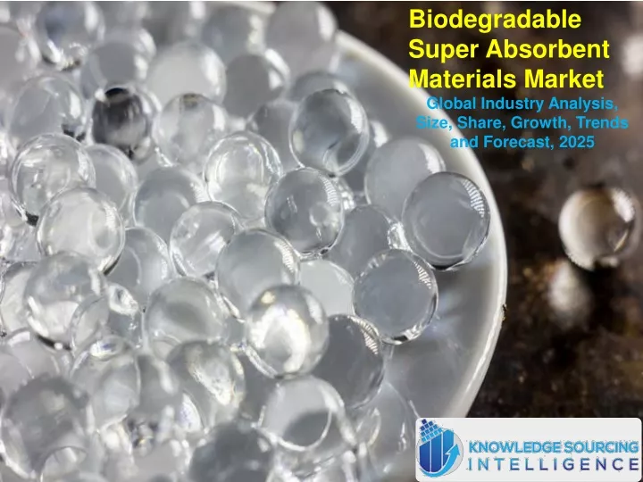 biodegradable super absorbent materials market