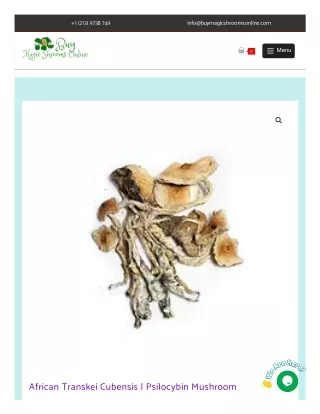 Buy African Transkei Cubensis Online  | Psilocybin Mushroom