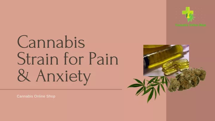 cannabis strain for pain anxiety