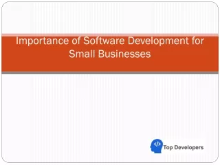 Importance of Software Development for Small Businesses