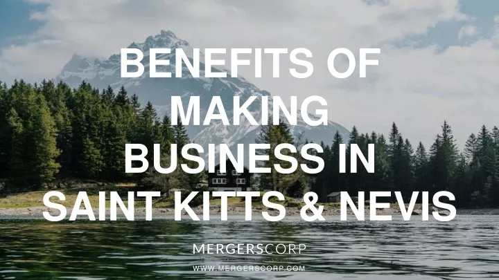 benefits of making business in saint kitts nevis