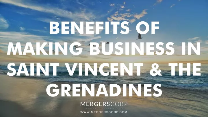 benefits of making business in saint vincent