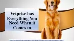 Vetprise has Everything You Need When it Comes to - slide 1