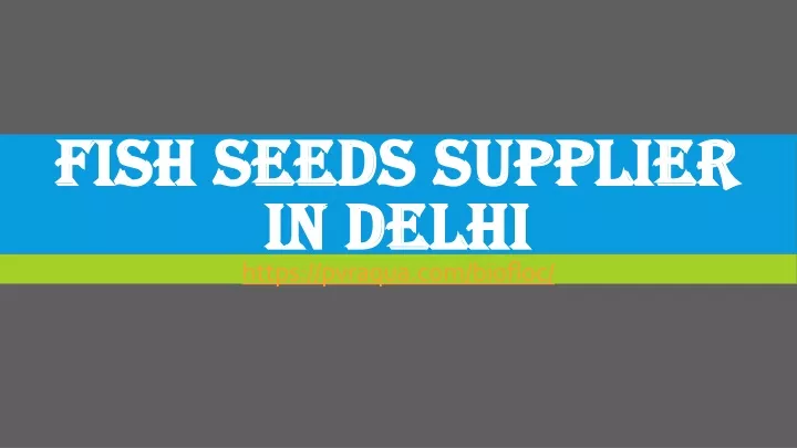fish seeds supplier in delhi