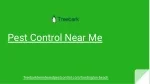 Pest Control Near Me - slide 1