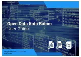 User Guide Open Data