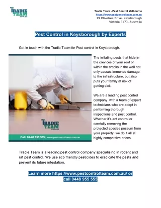 Pest Control in Keysborough by Experts