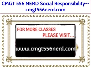 CMGT 556 NERD Social Responsibility--cmgt556nerd.com