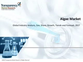 algae market