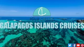 Galapagos Cruises