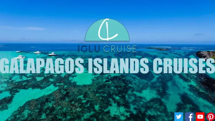 galapagos islands cruises