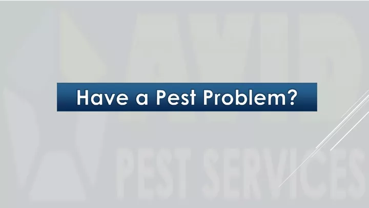 have a pest problem
